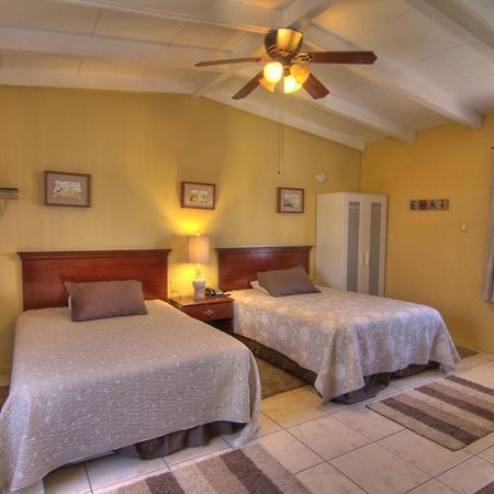 Harmony Motel Туэнтинайн-Палмс Экстерьер фото