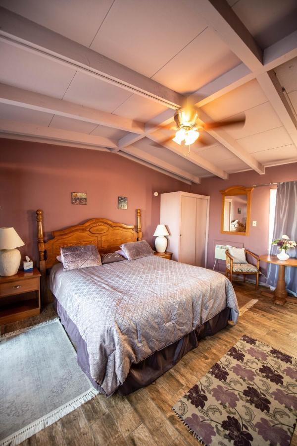 Harmony Motel Туэнтинайн-Палмс Экстерьер фото